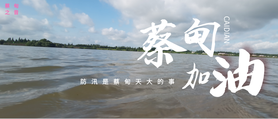 蔡甸區(qū)啟動防汛ⅰ級應(yīng)急響應(yīng)，做好鋪土釘防汛木樁工作