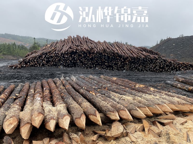 6米長松木樁有哪些作用，多少錢一根？