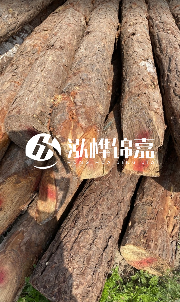 <strong>松木樁和杉木樁的用途區(qū)別？哪個(gè)更適合打樁用？</strong>