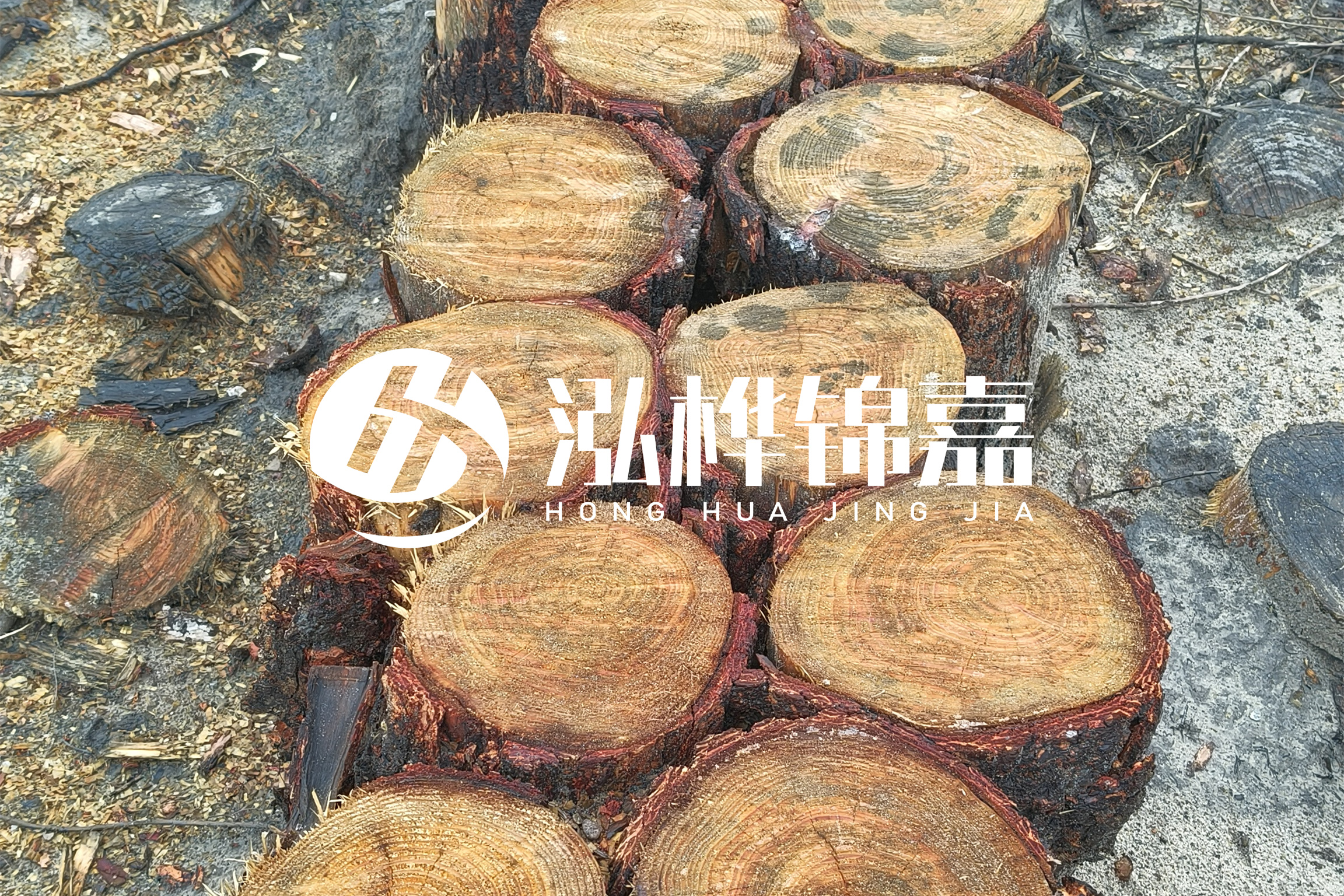 浙江臺(tái)州有清淤的公司嗎？浙江臺(tái)州有清淤施工隊(duì)嗎？