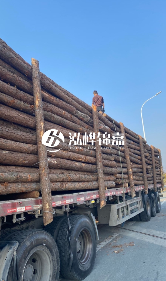 煙臺(tái)挖機(jī)打木樁專業(yè)施工-打防汛木樁后如何進(jìn)行加固？