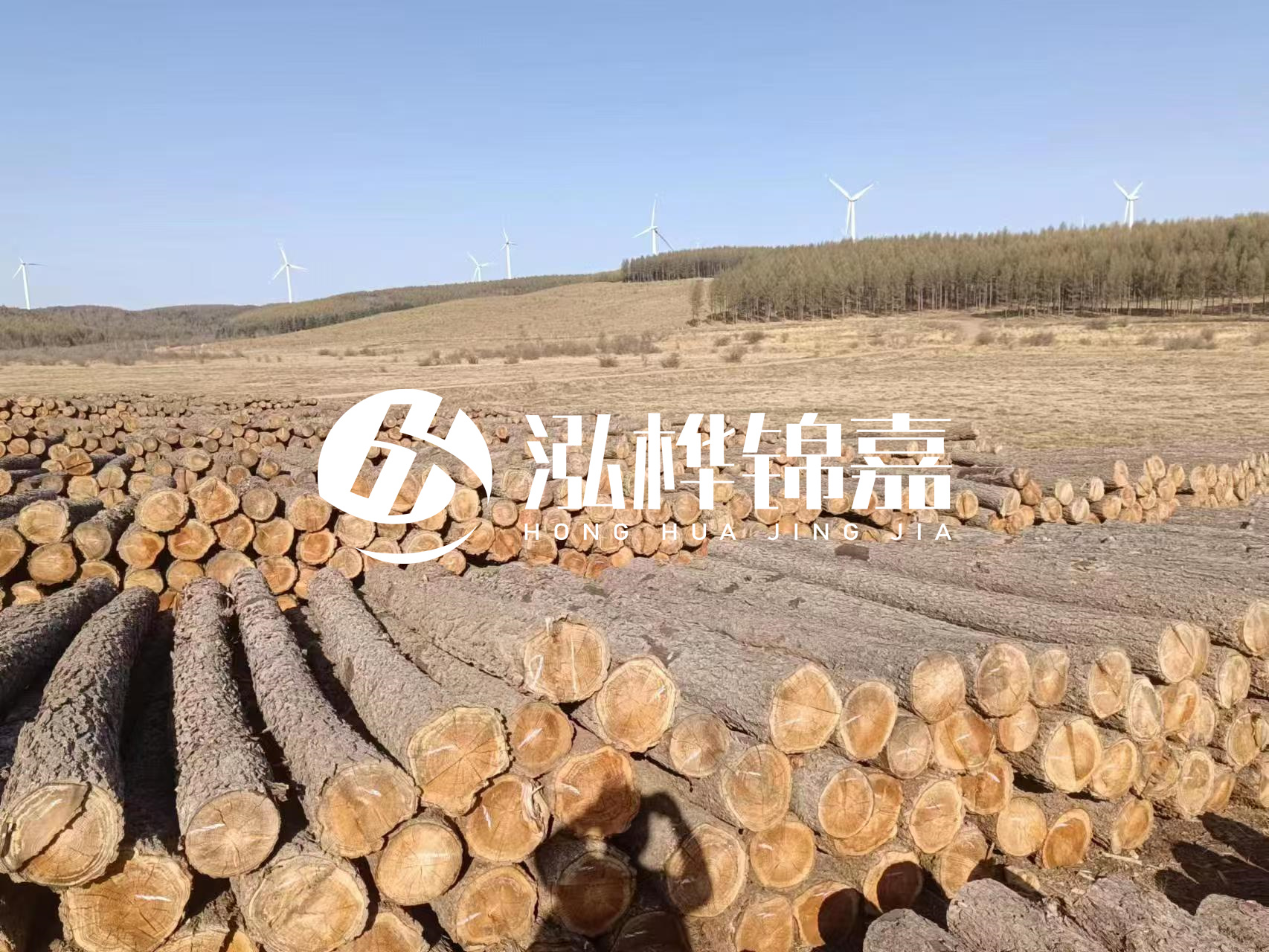 咸寧松木樁源頭廠家-哪里能買到質(zhì)量好的松木樁打樁木？