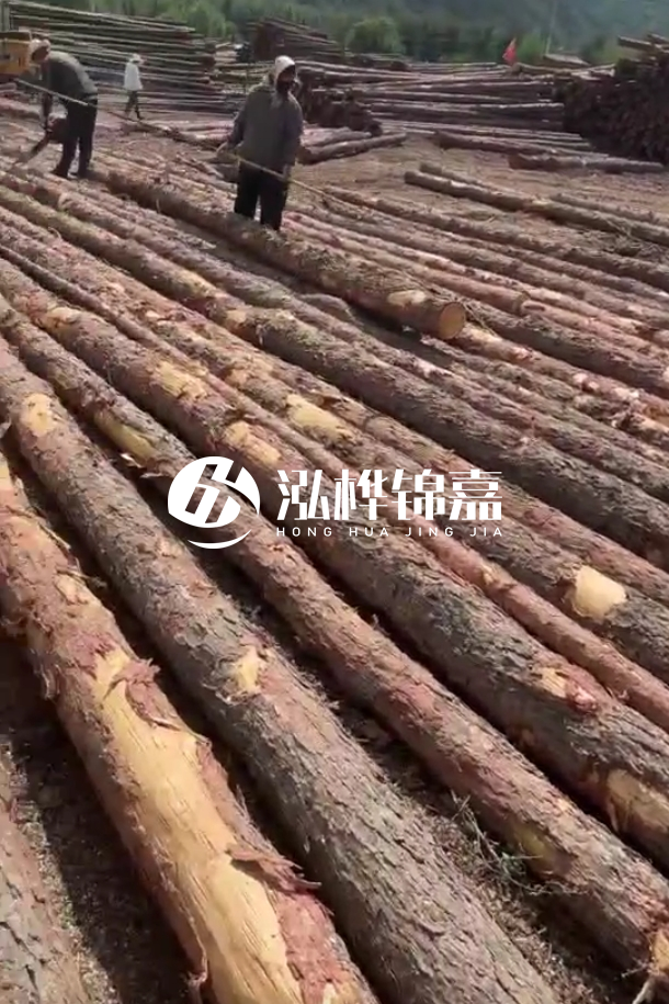 ?？谒赡緲对搭^廠家-松木樁最長(zhǎng)可以做多少米？