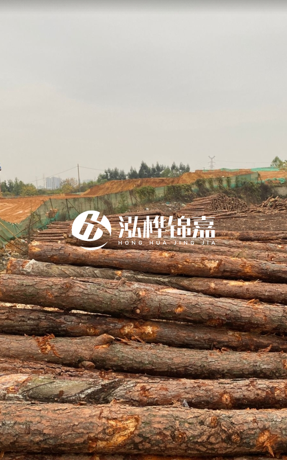 攀枝花松木樁源頭廠家-河道松木樁廠家聯(lián)系方式？