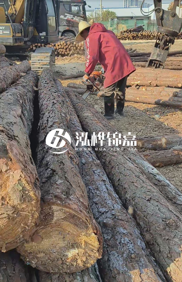長(zhǎng)沙打樁木批發(fā)廠家在哪里？聯(lián)系方式是什么？
