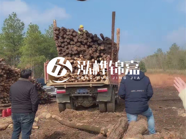 防腐木樁價(jià)格比普通木樁貴多少？防腐木樁有哪些處理方式？