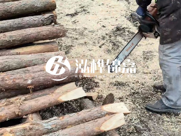 杉木樁批發(fā)廠(chǎng)家哪家好？產(chǎn)地直供渠道推薦！