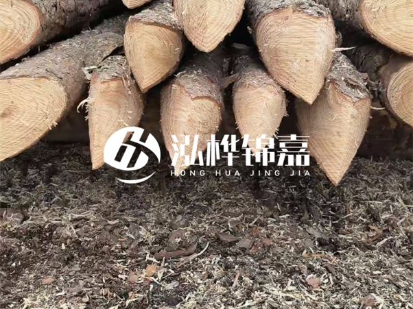 打樁木樁與鋼樁相比有哪些優(yōu)缺點(diǎn)？如何進(jìn)行后期維護(hù)？