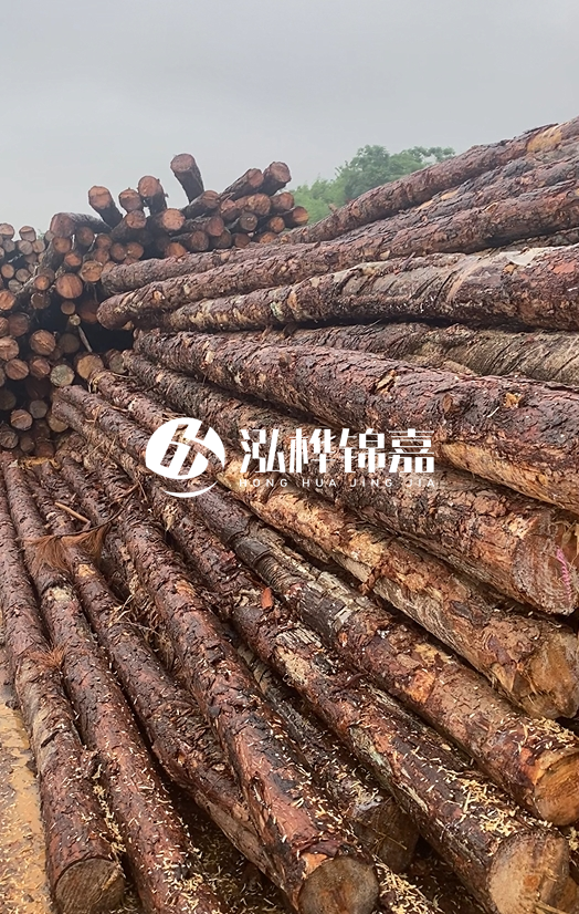 購買松木樁注意事項(xiàng)有哪些-不同直徑松木樁區(qū)別有哪些？