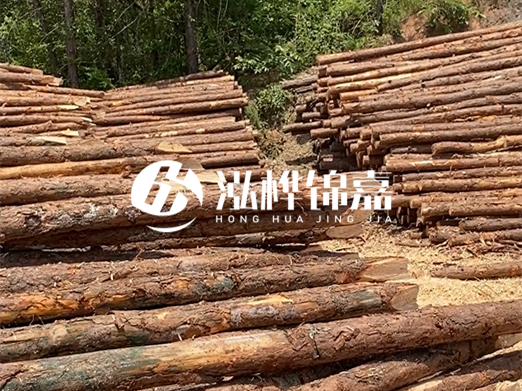 松木樁的運(yùn)輸費(fèi)用是否包含卸車費(fèi)？卸貨時(shí)需要注意哪些安全問題？