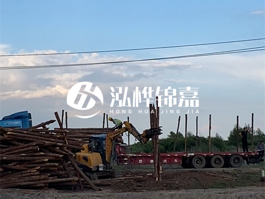 河北打樁木源頭廠家泓樺錦嘉 - 北方常用打樁木是什么？