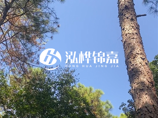 松木樁廠家泓樺錦嘉可以實(shí)地考察嗎？需要提前預(yù)約嗎？