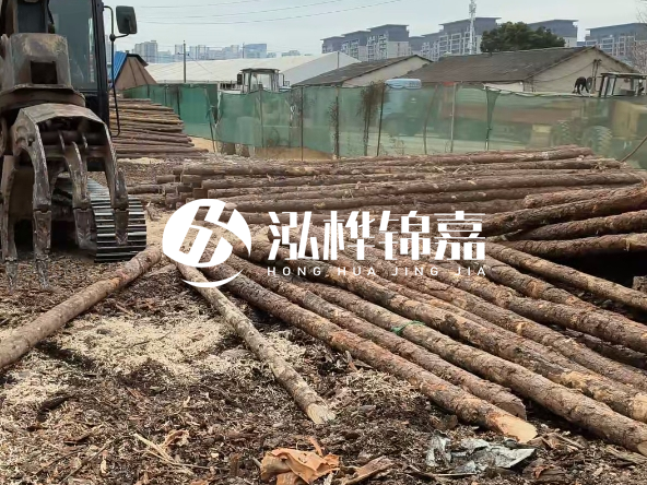 2 米長(zhǎng)度松木樁多少錢？松木樁 10 一 15 公分價(jià)格？