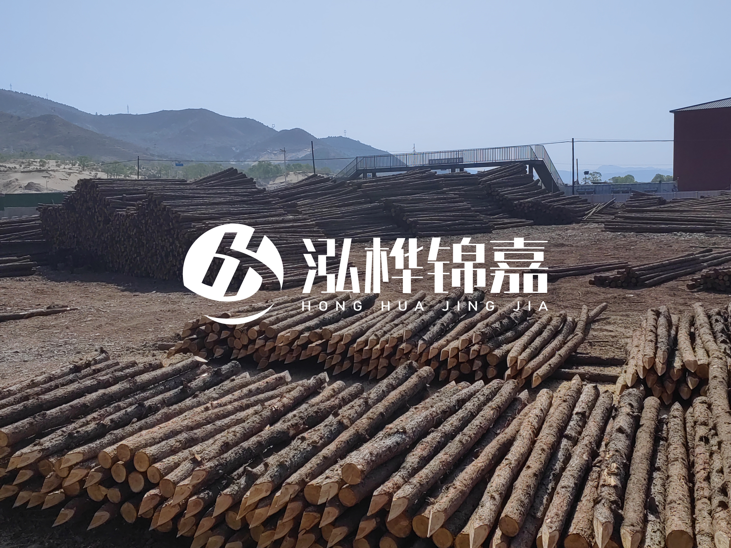 江蘇打樁木源頭廠家泓樺錦嘉-4米打樁木大頭14-16小頭一般多少？