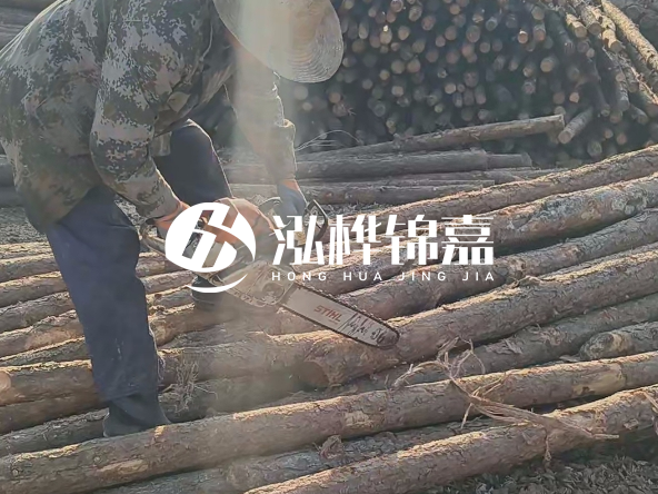 廣東打樁木源頭廠家泓樺錦嘉 - 如何選擇適合特定邊坡的松木樁？