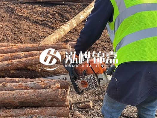 河道打木樁多少錢(qián)一根？5米直徑10松木樁打樁多少錢(qián)？