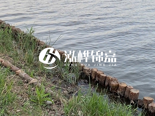 防洪松木樁施工重要性？河道打木樁的位置怎么確定？