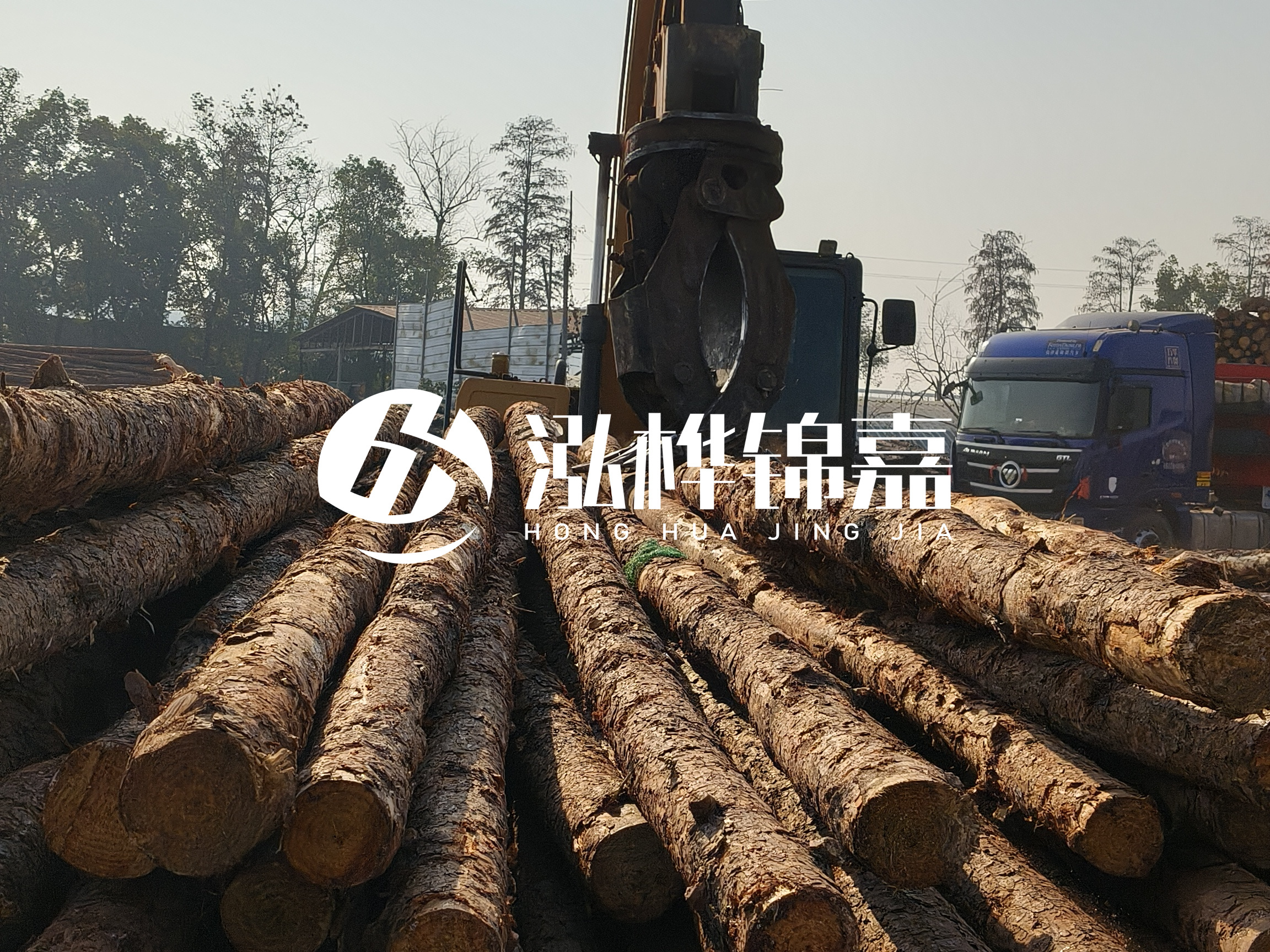松木樁可以用來做什么？常用于哪些工程？