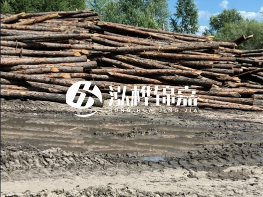 松木樁施工隊泓樺錦嘉 - 木頭打樁護(hù)岸能用多長時間？