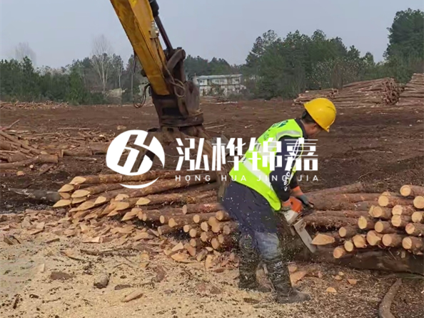 松木樁施工隊泓樺錦嘉 - 松木打樁在水里管幾年？