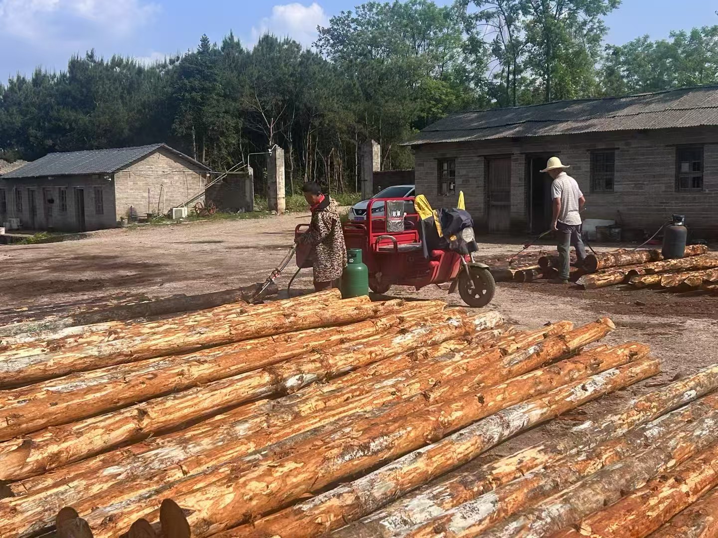 松木樁施工隊(duì)泓樺錦嘉 - 建房子地基打木樁靠譜嗎？