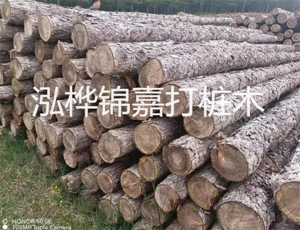 高效修補，保駕護航！水泥路面高強度修補料為您解決煩惱！
