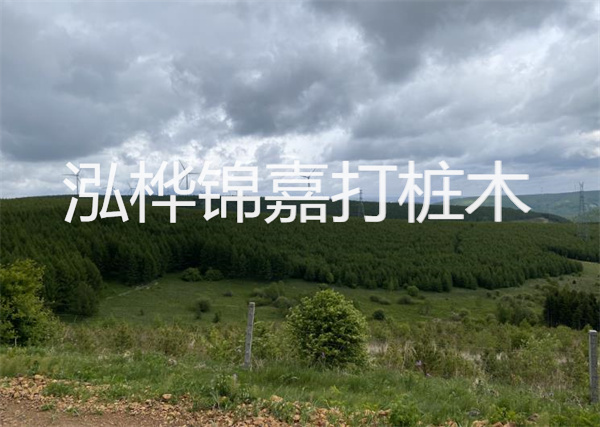 松木樁能重復(fù)施工么？