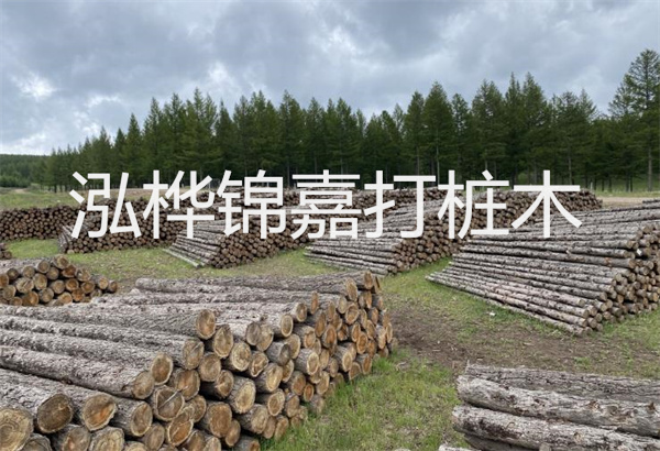 預(yù)制松木樁施工工藝：優(yōu)質(zhì)材料，高效快速，堅固耐用