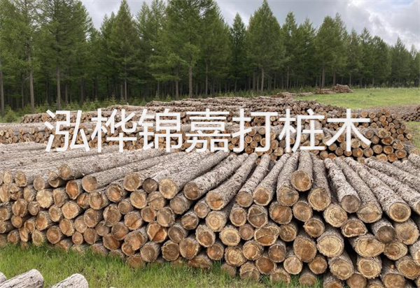 松木樁能施工嗎？探究視頻揭秘真相！