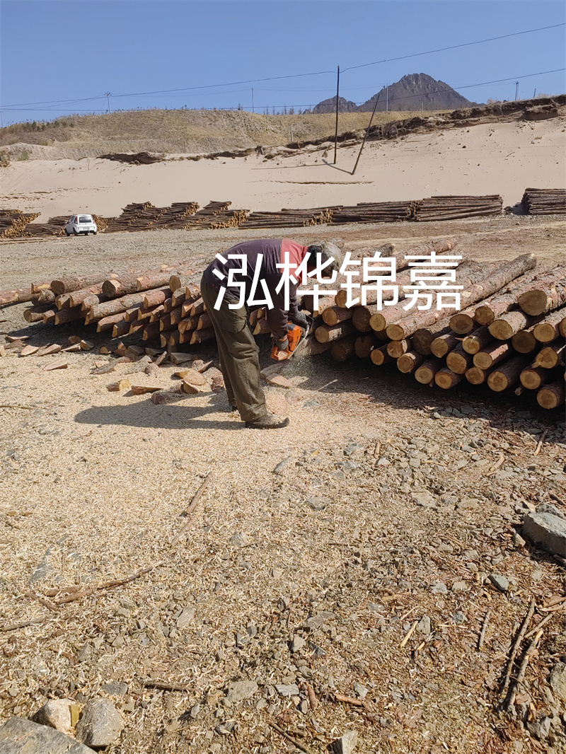 松木樁駁岸施工，打造水上風(fēng)景線