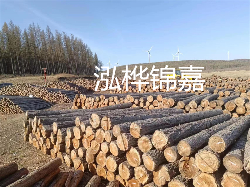 用路基松木樁施工方案提升工程質(zhì)量描述：了解路基松木樁施工方案的重要性，提高工程質(zhì)量關(guān)鍵詞：路基松木樁，施工方案，工程質(zhì)量