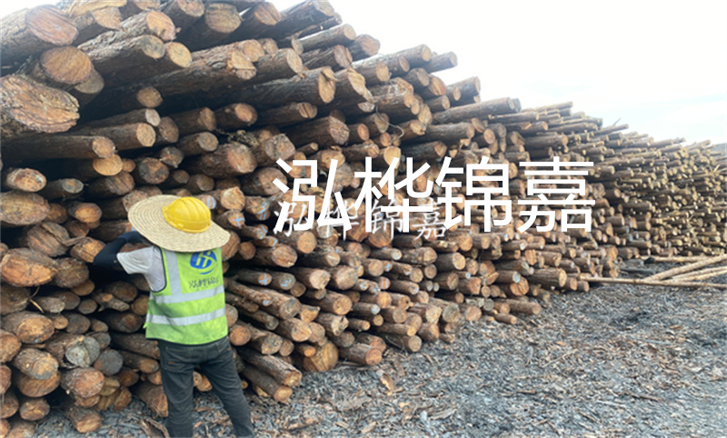 當建筑需要強大支撐，鄭州這里有松木樁！