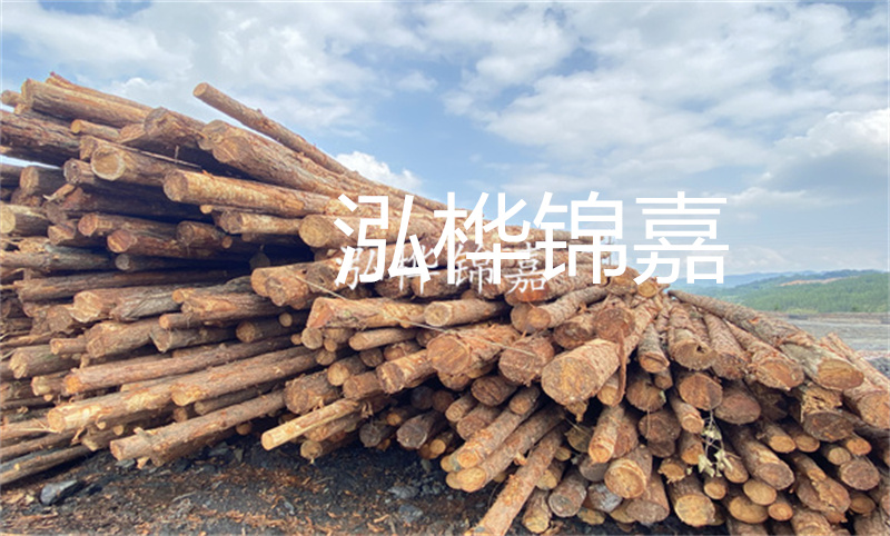 濮陽松木樁，卓越品質(zhì)，安全可靠