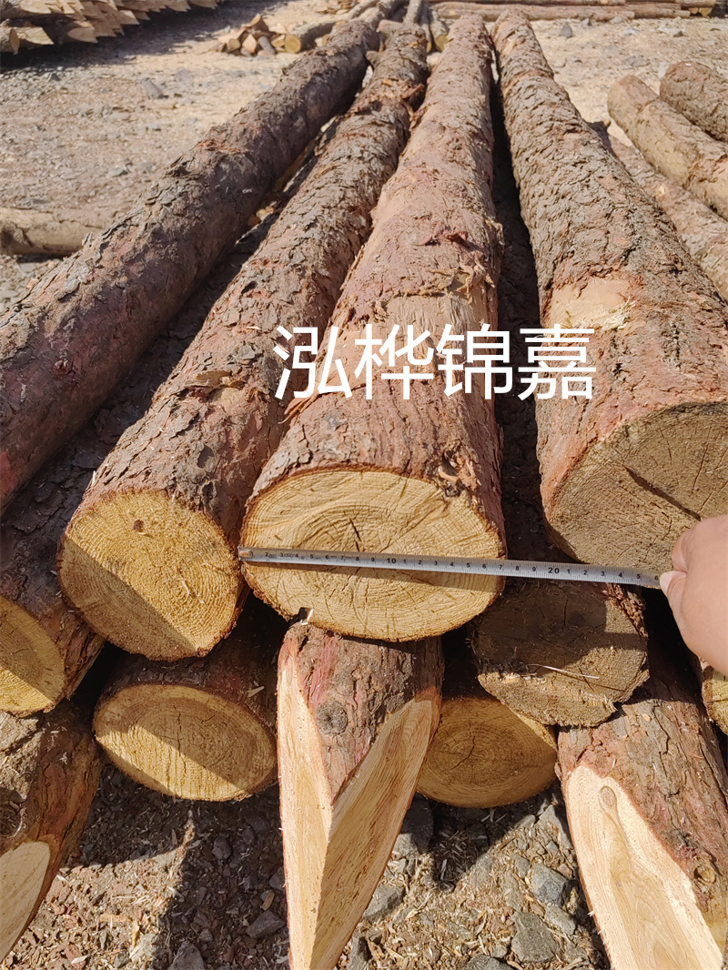 福建哪里買松木樁？