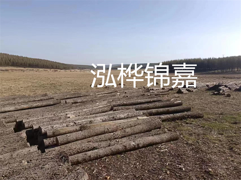 鄂州松木樁哪里好？推薦泓樺錦嘉松木樁業(yè)！