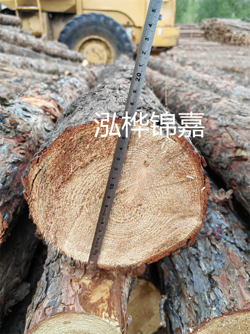 佛山哪里賣松木樁？這幾家銷售商值得您關(guān)注！